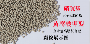 黃腐酸鉀復(fù)合肥的作用有哪些，農(nóng)富天下小編為你科普一下！